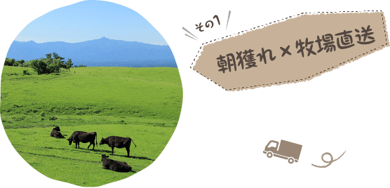 その1 朝獲れ×牧場直送